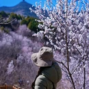 北京旅游 缩略图 6