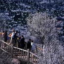 北京旅游 缩略图 5