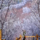 北京旅游 缩略图 2