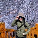 北京旅游 缩略图 17