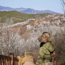 北京旅游 缩略图 12
