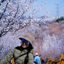北京旅游 缩略图 15