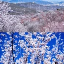 北京旅游 缩略图 18