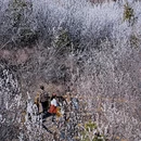 北京旅游 缩略图 16