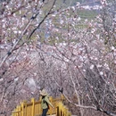 北京旅游 缩略图 9