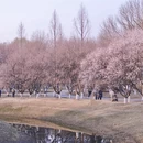 北京旅游 缩略图 4