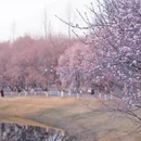 北京旅游 缩略图 3