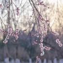 北京旅游 缩略图 6
