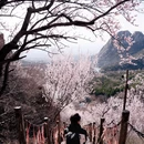 北京旅游 缩略图 1