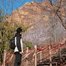 北京旅游 缩略图 5