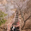 北京旅游 缩略图 7