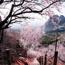 北京旅游 缩略图 8