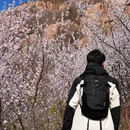 北京旅游 缩略图 15