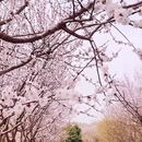 北京旅游 缩略图 4