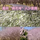北京旅游 缩略图 1