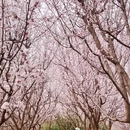 北京旅游 缩略图 2