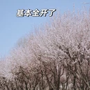 北京旅游 缩略图 7