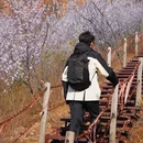 北京旅游 缩略图 17
