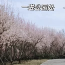 北京旅游 缩略图 6