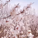 北京旅游 缩略图 5