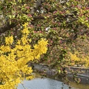 北京旅游 缩略图 6