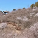 北京旅游 缩略图 4