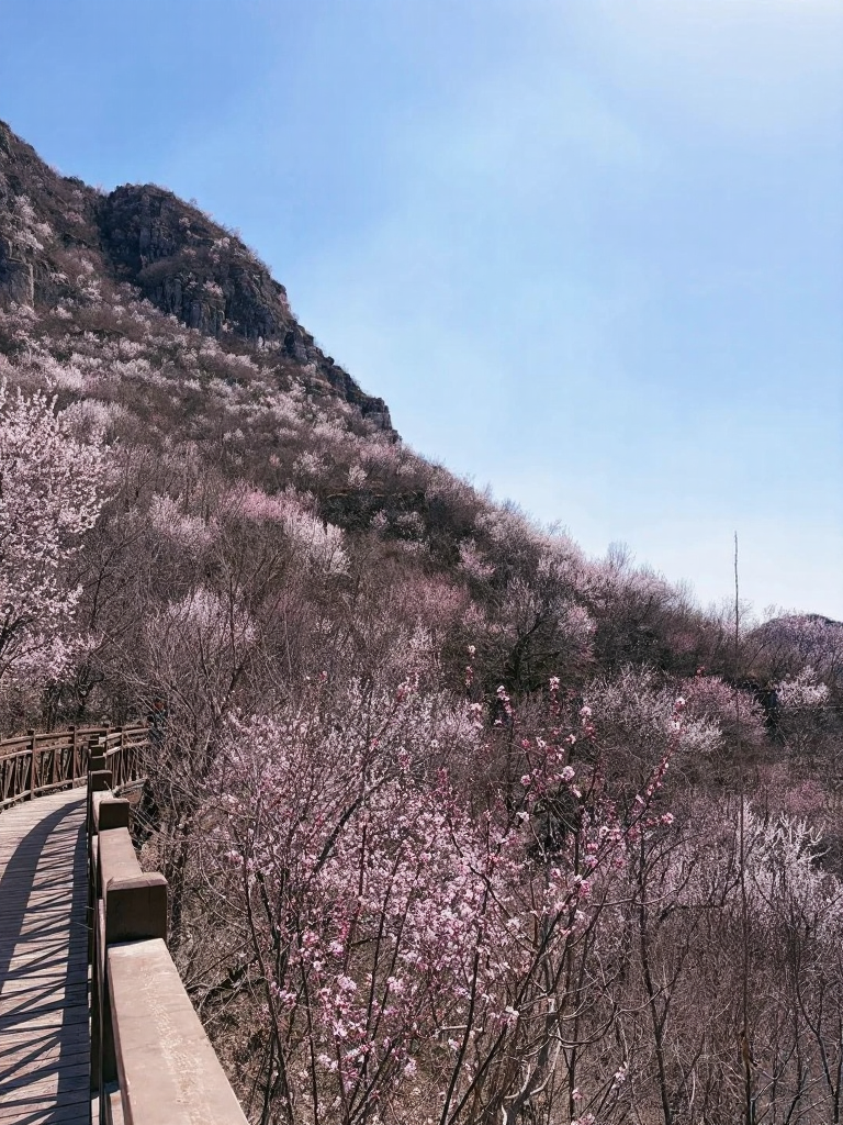 北京旅游