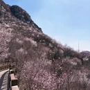北京旅游 缩略图 1