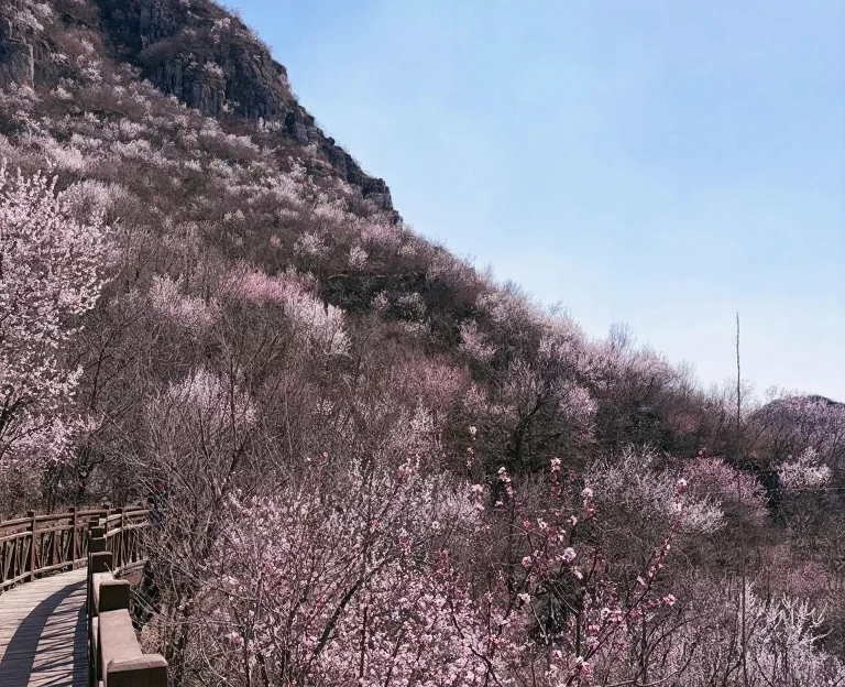 北京旅游 1