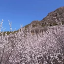 北京旅游 缩略图 2