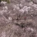 北京旅游 缩略图 5