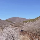 北京旅游 缩略图 9