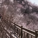 北京旅游 缩略图 8