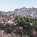 北京旅游 缩略图 6