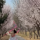 北京旅游 缩略图 4