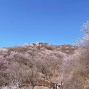 北京旅游 缩略图 7
