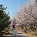 北京旅游 缩略图 10
