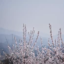 北京旅游 缩略图 7