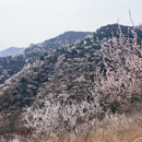 北京旅游 缩略图 2