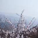 北京旅游 缩略图 8