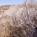 北京旅游 缩略图 4