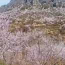 北京旅游 缩略图 5