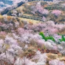 北京旅游 缩略图 3