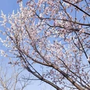 北京旅游 缩略图 2
