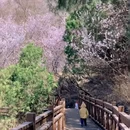 北京旅游 缩略图 6