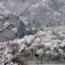 北京旅游 缩略图 3