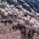 北京旅游 缩略图 7
