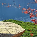 北京旅游 缩略图 8