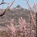 北京旅游 缩略图 6