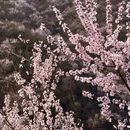 北京旅游 缩略图 3